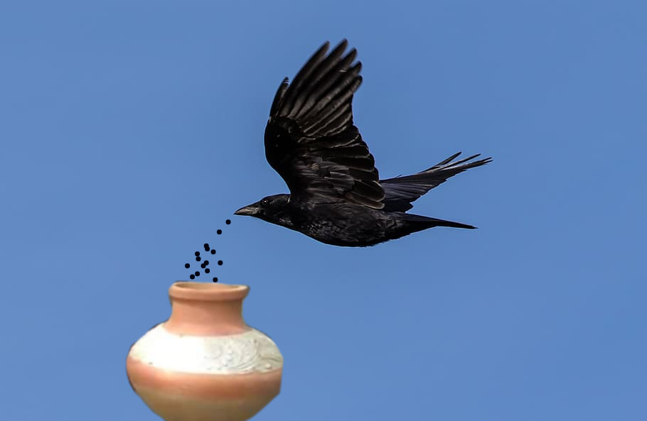 Thirsty crow story image