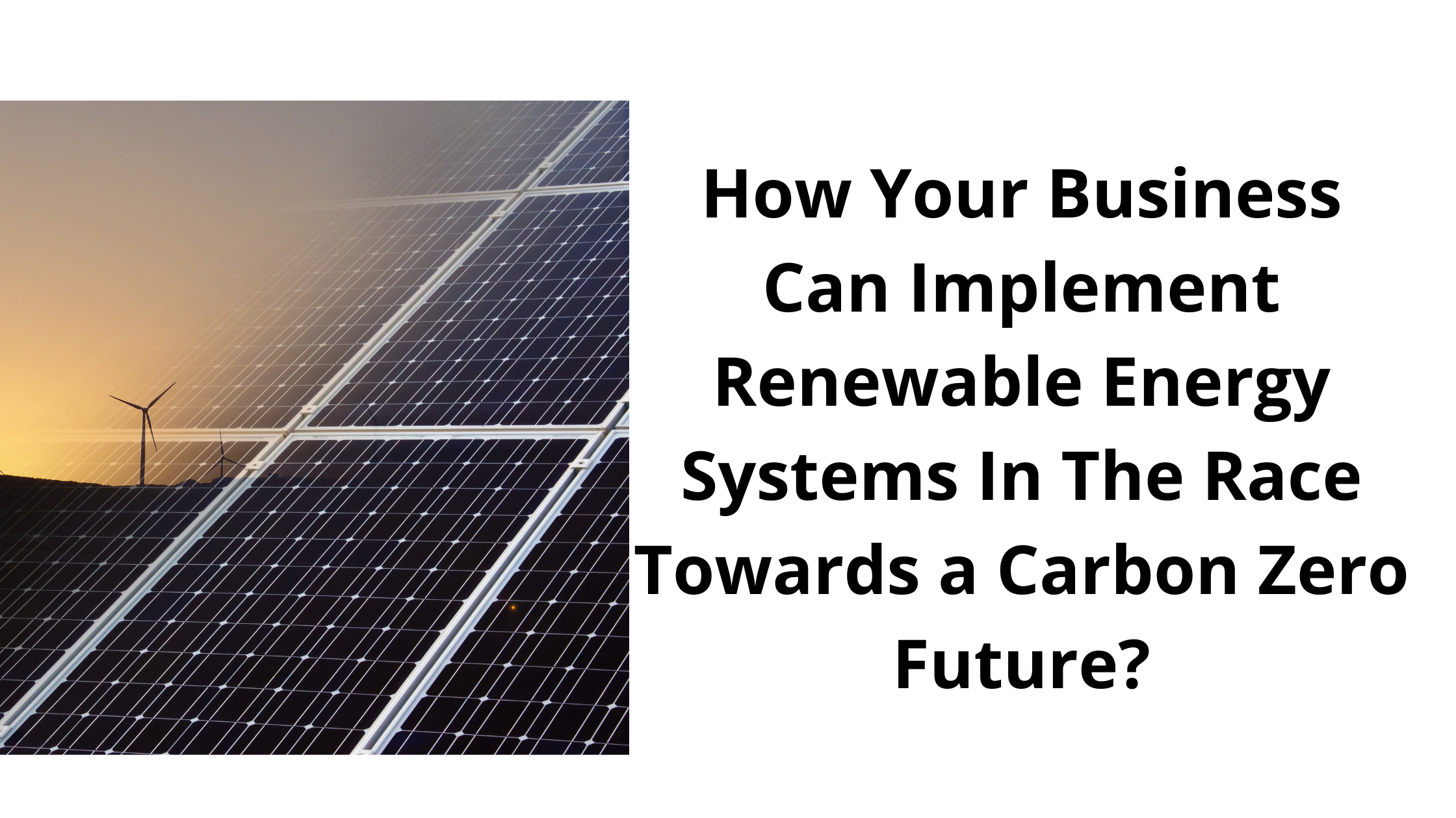 How Your Business Can Implement Renewable Energy Systems In The Race Towards a Carbon Zero Future?