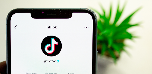 Easy Way To Become Famous: Buy TikTok Likes