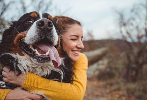 6 Things That Will Guarantee the Good Health of Your Dog